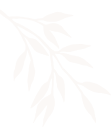 Decorative shape